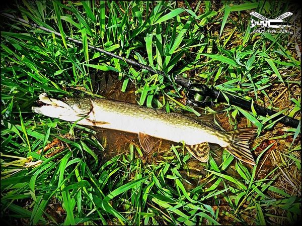 En Mai, pêche ce qu’il te plait.