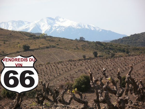 Vendredis du Vin # 66 : tous dans le 66