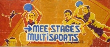 Stages Multisports