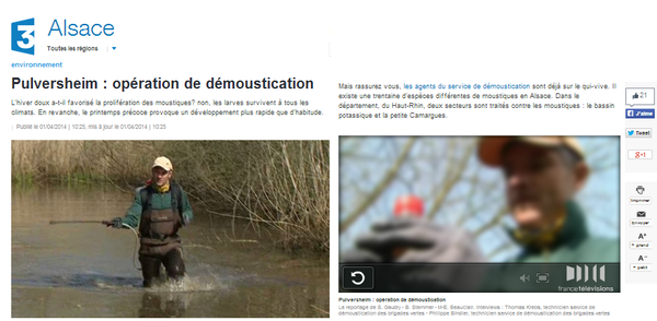 2014: Démoustiquer...