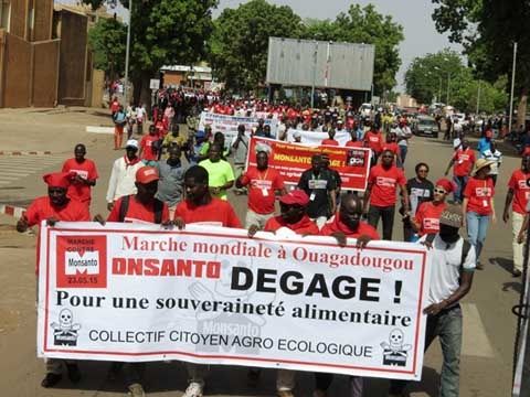 Sur la flagrubando : « Tutmonda marŝado en Uagaduguo : For Monsanto ! Por nutraĵa suvereneco - Civitana kolektivo por agroekologio