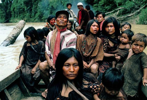 Peruo : finfine la familioj de la murditaj Indianoj Aŝaninka akiras terojn