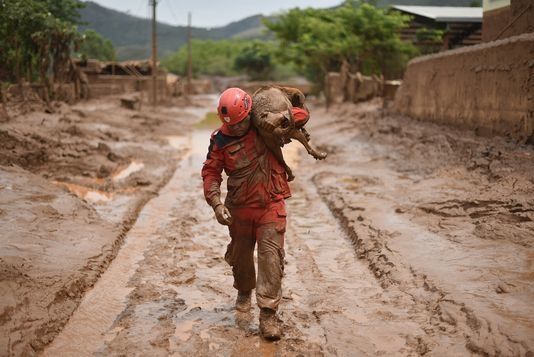 Fajrobrigadisto en Paracatu de Baixo, en la Ŝtato Minas Gerais, en Brazilo, la 9an de novembo 2015. Douglas Magno / AFP