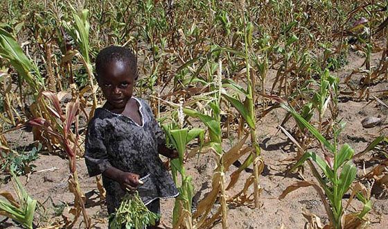 Zimbabvo : la lando suferas pri escepta sekeco