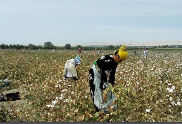 Uzbekio : Labourstart Kampanjo: Ni defendu la aktivulon pri homaj rajtoj, Uktam Pardaev