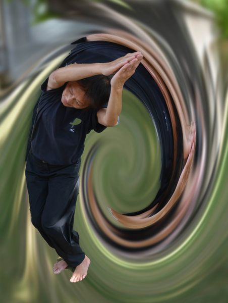 Tai Chi Intégral