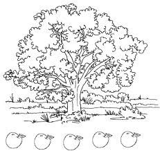 LE FRUIT DE L’ESPRIT