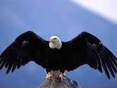 LE SECRET DU CAP QUARANTE DE L’AIGLE