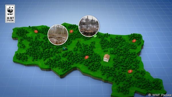 BOUCLIER ANTIDEFORESTATION