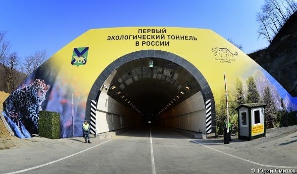 UN TUNNEL POUR LES LEOPARDS