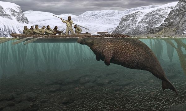 REINE DES GLACES, MATRIARCHE DU MONDE