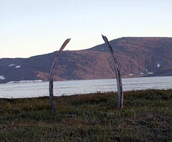 REINE DES GLACES, MATRIARCHE DU MONDE