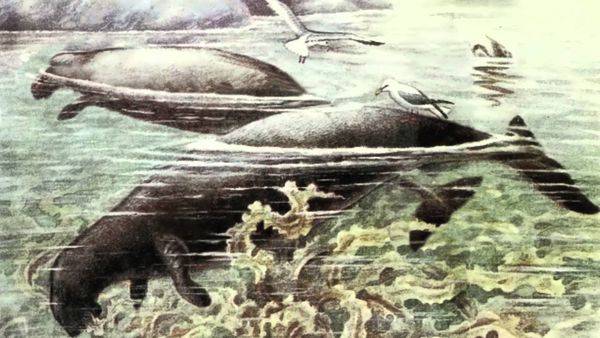 REINE DES GLACES, MATRIARCHE DU MONDE
