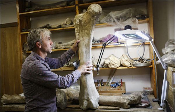 LES GEANTS ETAIENT SUR LA TERRE