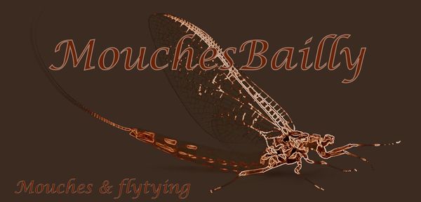 Mouchesbailly.com