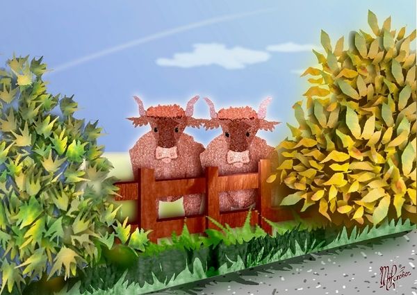 Les vaches-16-10-03-054