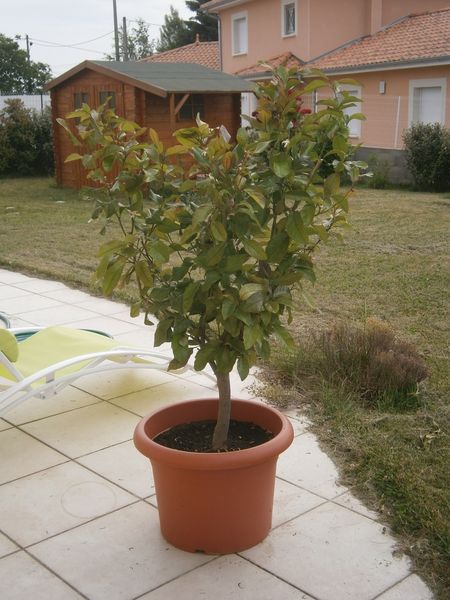 Et... soleil, enfin !