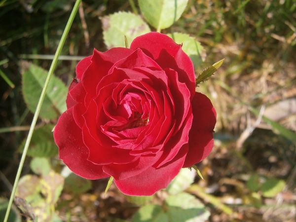 Début juillet : enfin le beau temps ?