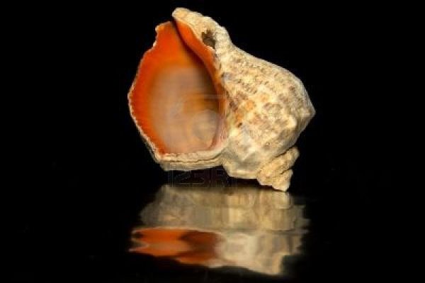 Il est peut-être temps de renoncer à mon CDI-coquille vide