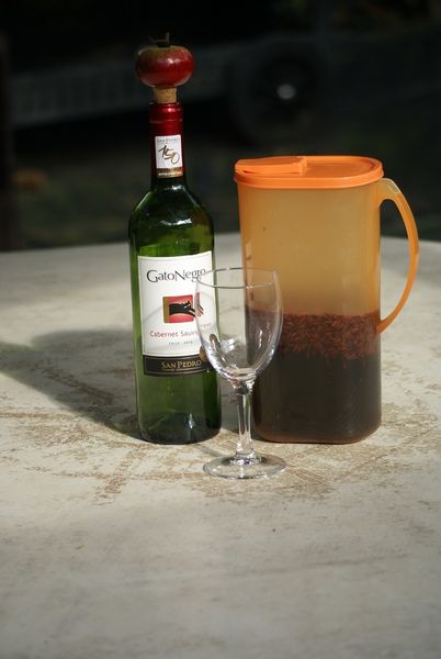 Vin médicinal fenouil-gingembre
