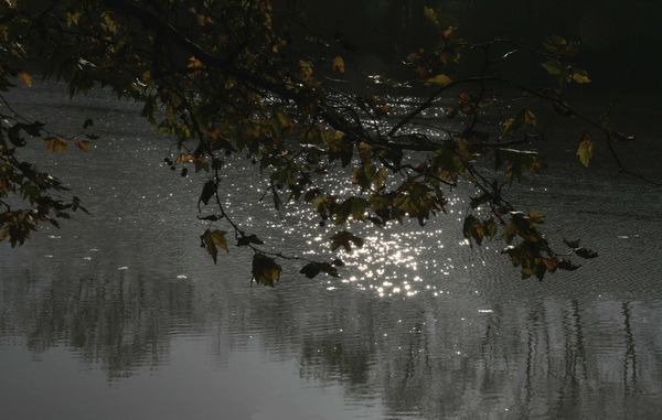 Perles ondoyantes
