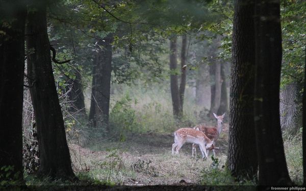 Rencontre matinal
