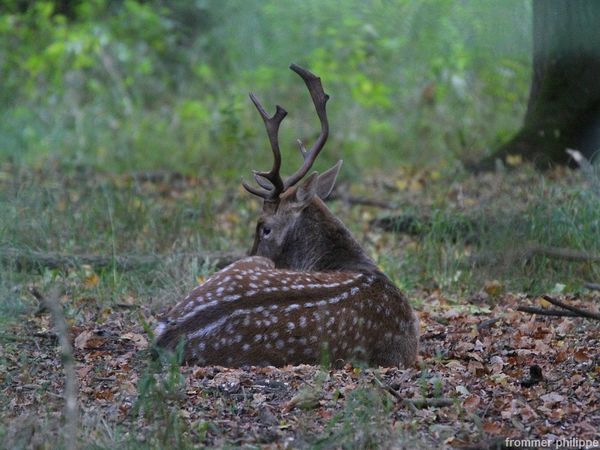 Surpris dans son sommeil !