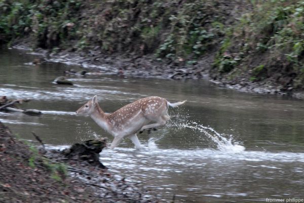 Traversée d'une rivière
