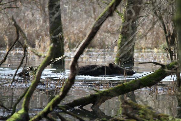 Luter contre les eau