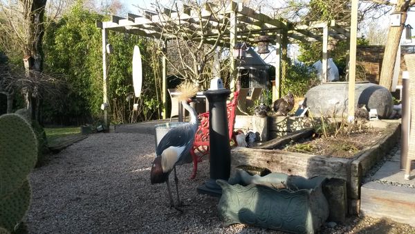 La Mare aux Oiseaux - plus qu'un restaurant