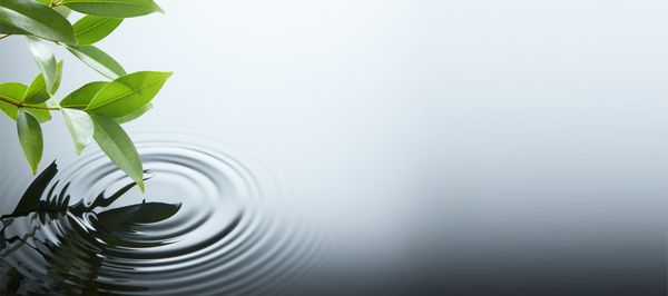Mizu no kokoro, " l'esprit de l'eau ".