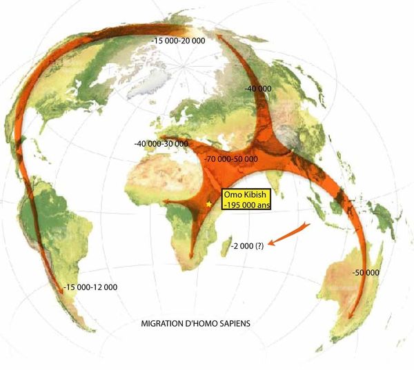 Animal migrateur