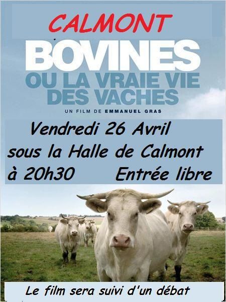 Vendredi 26, à Calmont,film "Bovines"
