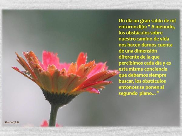 UN JOUR…UN GRAND SAGE…UN DIA … UN GRAN SABIO…
