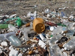 A Fuscaldo impazza il littering: spiaggia sotto sequestro
