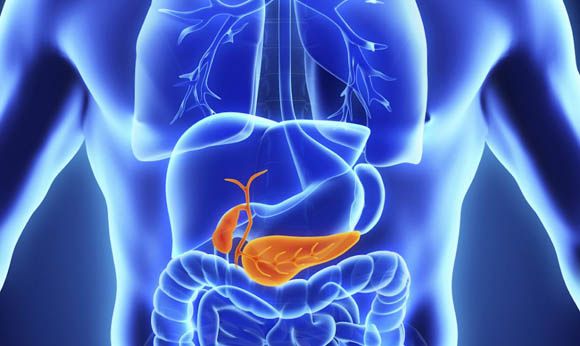 Salute, Diabete: creato il primo “pancreas artificiale