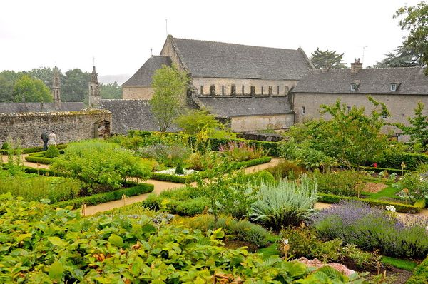Les plantes potagères du capitulaire de Villis I.