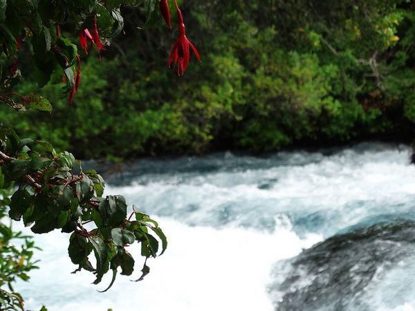 Chili : Salto de Laja