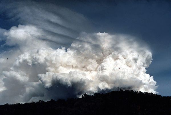 La fleur en boutonnière de nuage