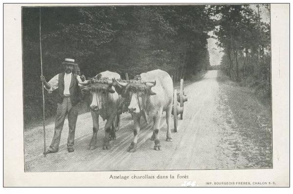 L'attelage