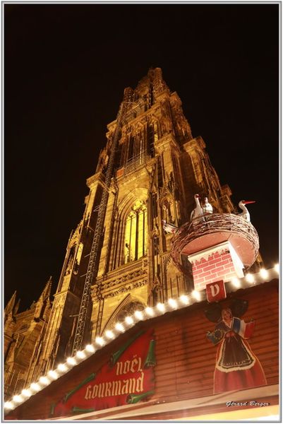Le grand sapin et les lumières de Strasbourg