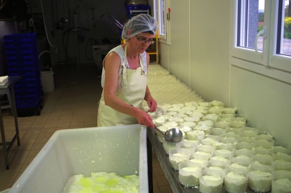 Elisabeth à la fromagerie