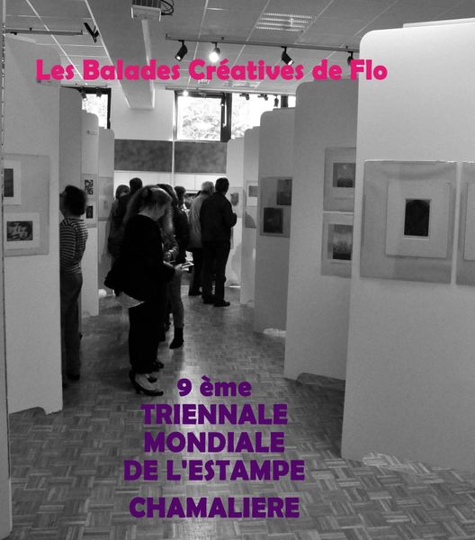 9ème Triennale Mondiale de l'Estampe