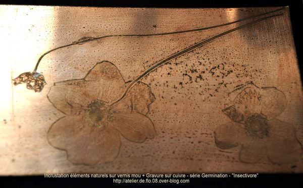 Gravure avec technique du vernis mou