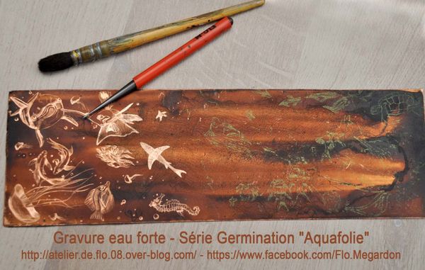 Estampe aquatique : "Aquafolie" - Eau forte