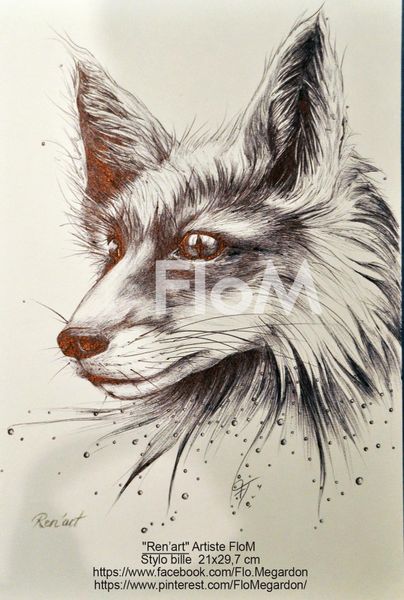 Dessin de Renard au stylo bille par FloM