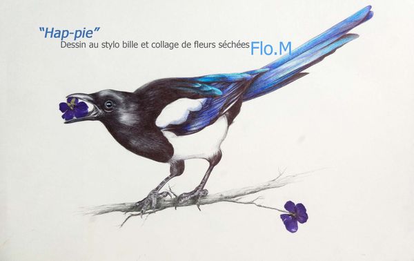 Dessin-oiseau pie-stylo bille-pen-artiste-flo m