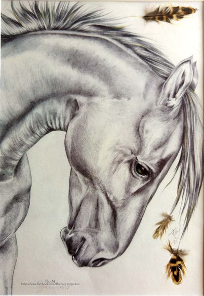 Dessin cheval - Pégase - au stylo bille + collage de plumes