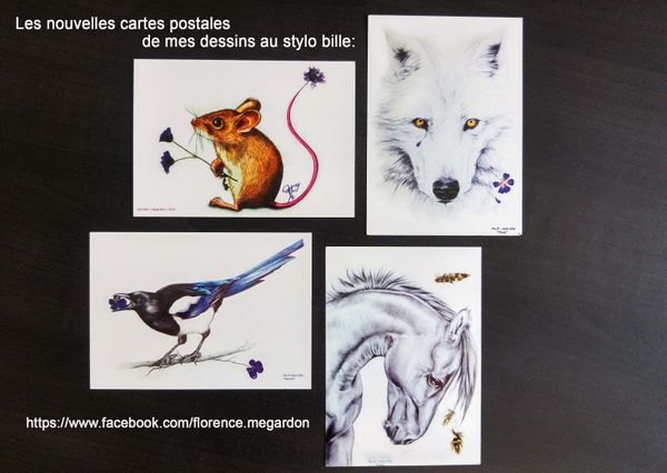Les dernières cartes postales des animaux au stylo bille de Flo.M