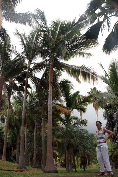 Conservatoire botanique...un endroit austère et barbant ? Pas à La Réunion !